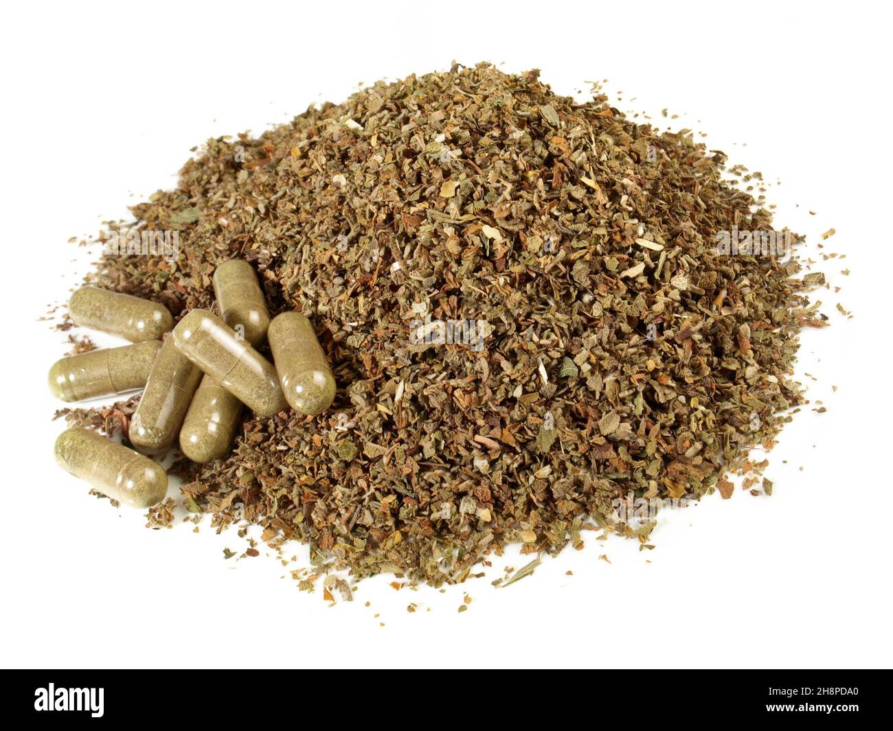 Dried Cistus Leaf with Capsules isolated on white Background Stock Photo