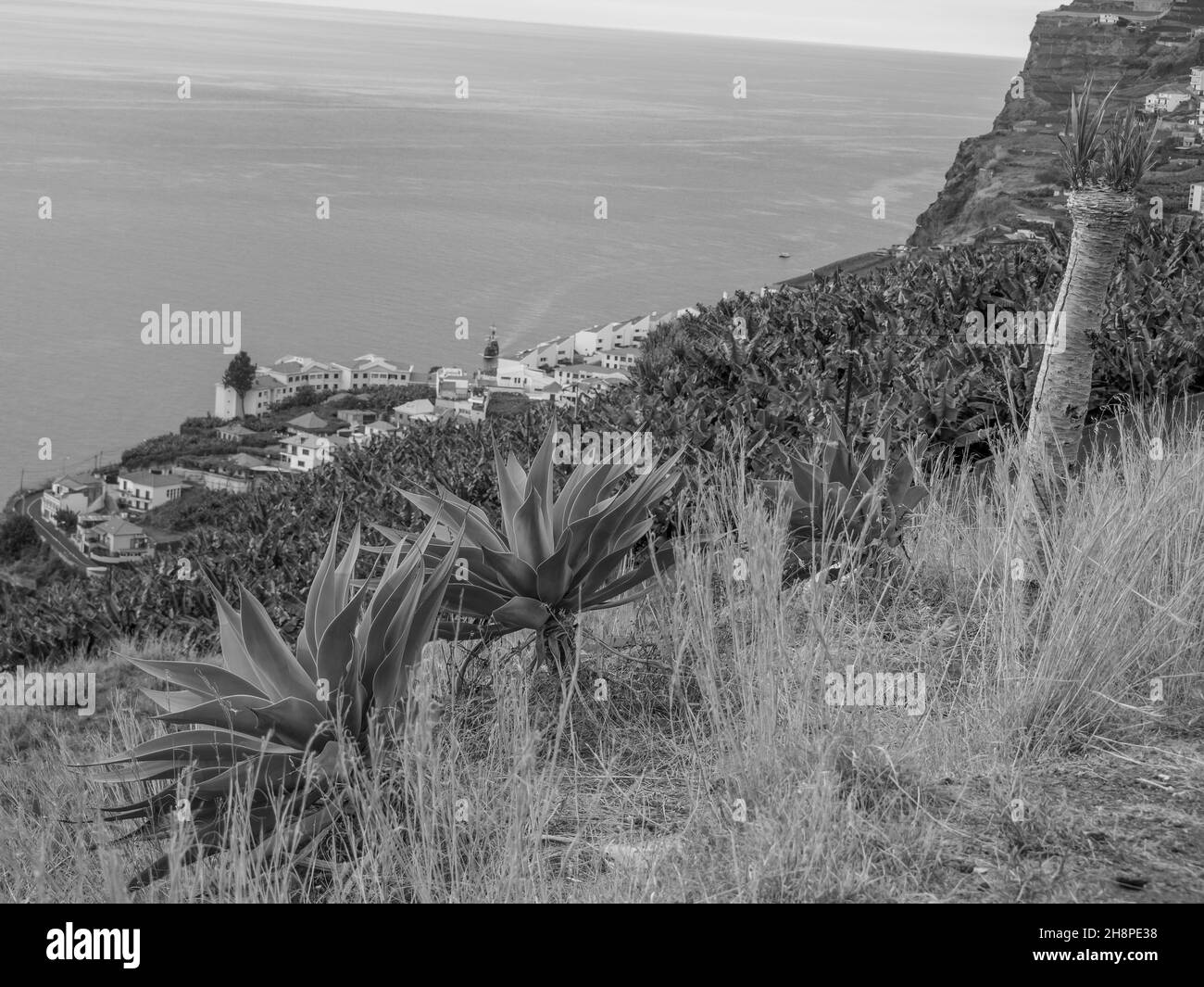 the island of Madeira Stock Photo Alamy