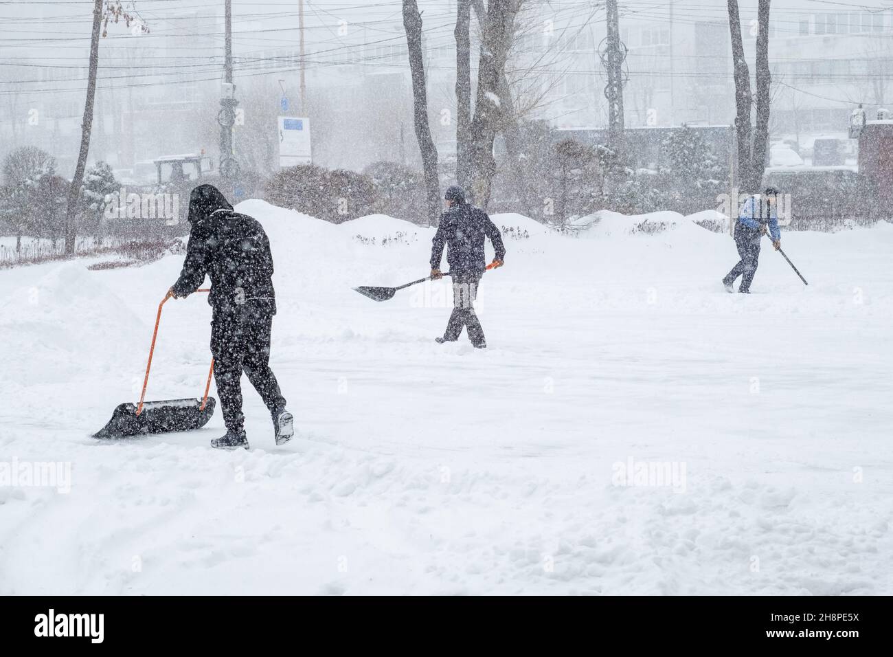 Snowing heavily hi-res stock photography and images - Alamy