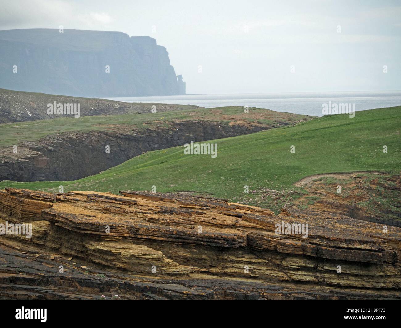 clifftop view across geos (clefts in rocks along fault lines) along the North west coast near Brough of Birsay Orkney, Scotland,UK Stock Photo