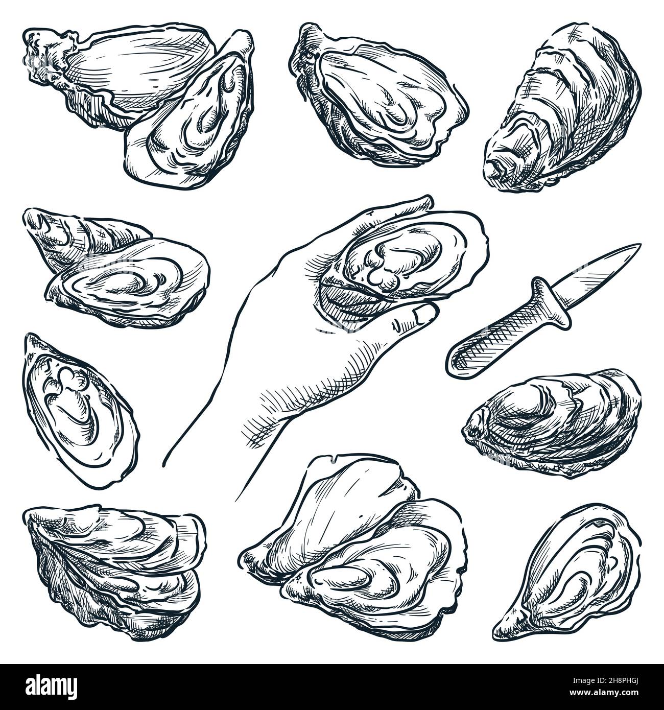 Oysters collection isolated on white background. Oyster knife and human