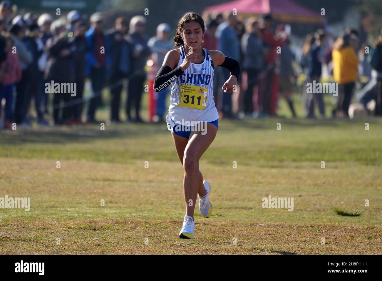 Mia Chavez (311) of Chino-SS places fourth in the girls Division 3 race during the CIF State Cross Country Championships at Woodward Park, Saturday, Nov. 27, 2021, in Fresno, Calif. Stock Photo