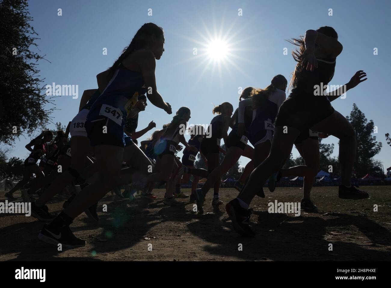 Silhouettes of runners at start of the girls Division 3 race during the