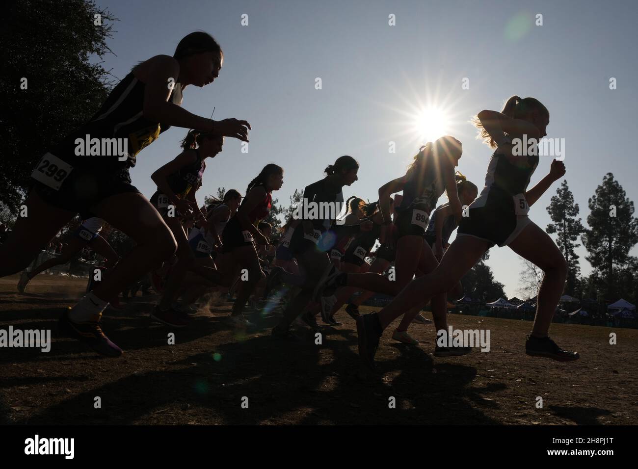 Silhouettes of runners at the start of the girls Division 3 race during the CIF State Cross Country Championships at Woodward Park, Saturday, Nov. 27, Stock Photo