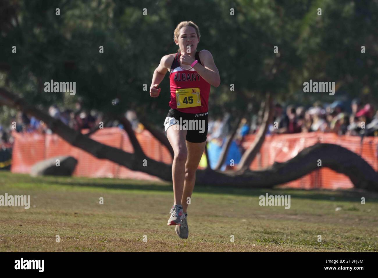 Sophia Nordenholz (45) of Albany wins the girls Division 4 race in 16:46.0 during the CIF State Cross Country Championships at Woodward Park, Saturday, Nov. 27, 2021, in Fresno, Calif. Stock Photo