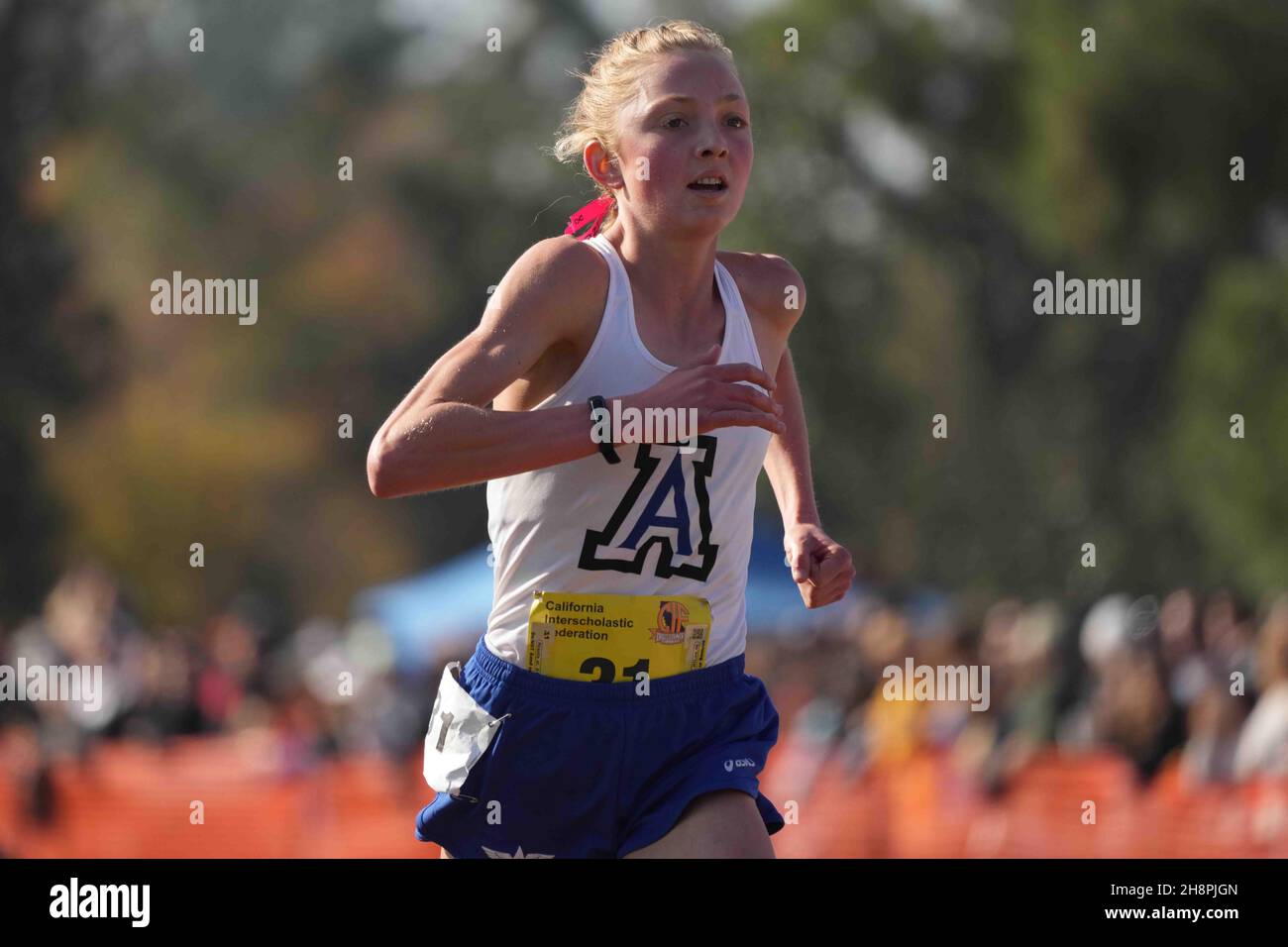 Olivia Williams (31) of Acalanes places second in the girls Division 4 race in 16:56.2 during the CIF State Cross Country Championships at Woodward Park, Saturday, Nov. 27, 2021, in Fresno, Calif. Stock Photo