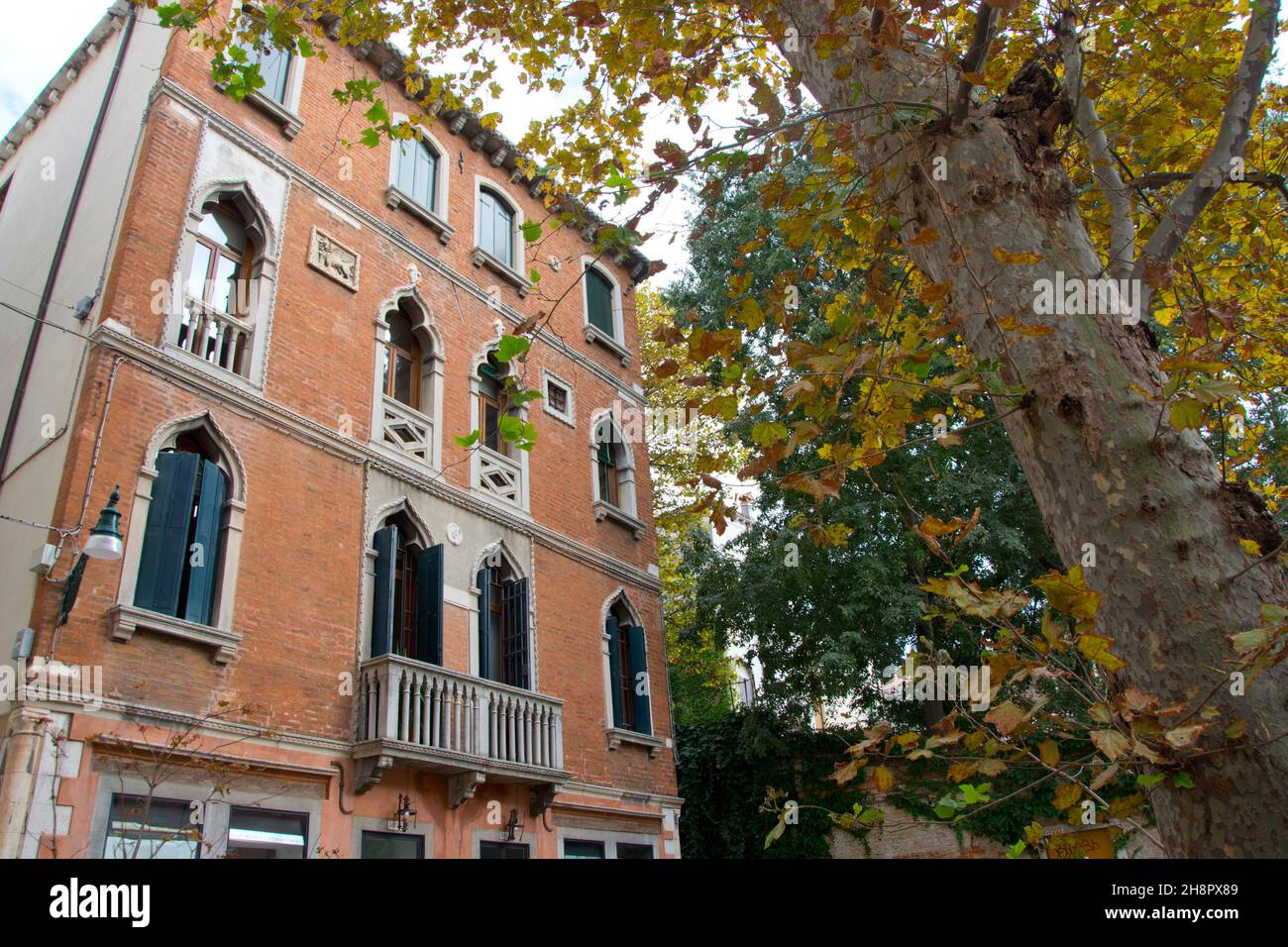 Unscheinbarer Palast mit Baum an einem wenig begangenen Platz Venedigs Stock Photo