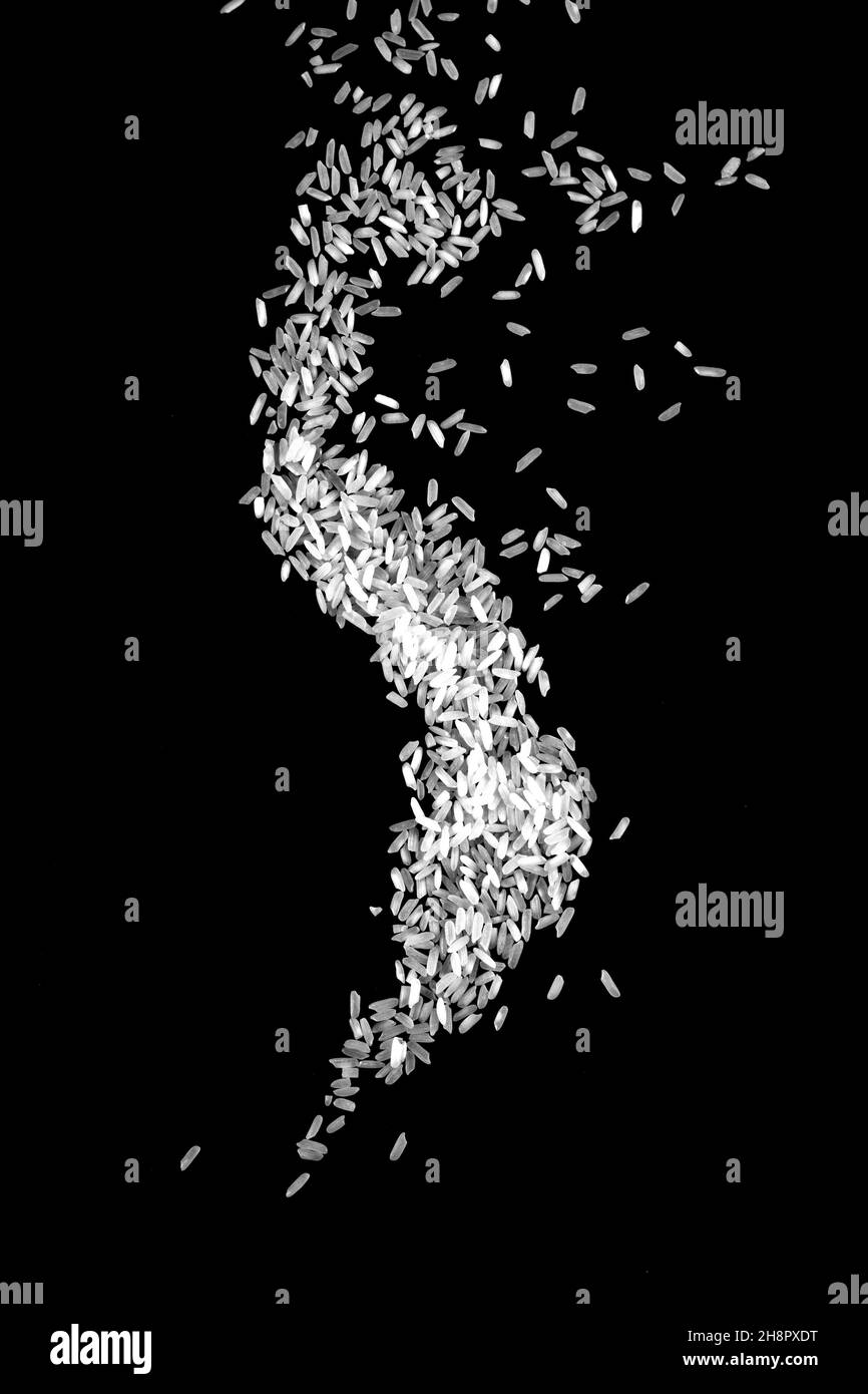 Raw white rice explosion isolated on white background. Raw rice up