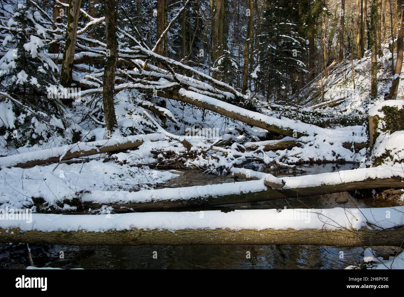 Winterstimmung im Chasteltal im nördlichen Jura, Schweiz Stock Photo