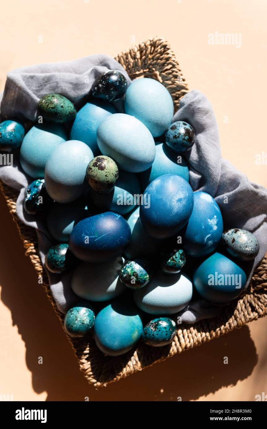 Homemade naturally dyed eggs in blue colors Stock Photo