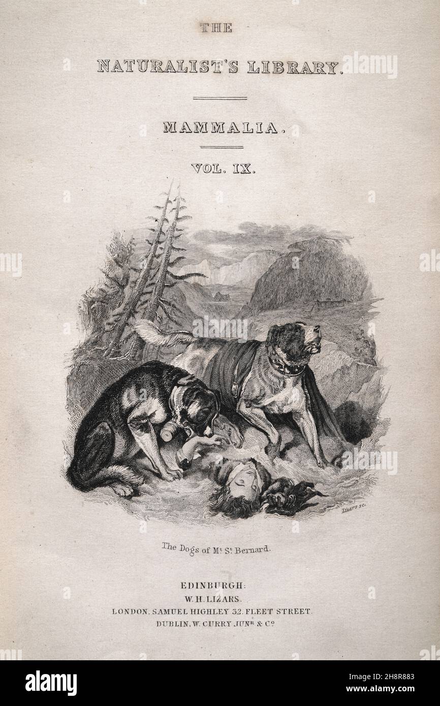 St. Bernard dog rescuing a man from the snow, Title page for The Naturalist's Library, Sir William Jardine, Mammalia, Vol, IX, Dogs Stock Photo