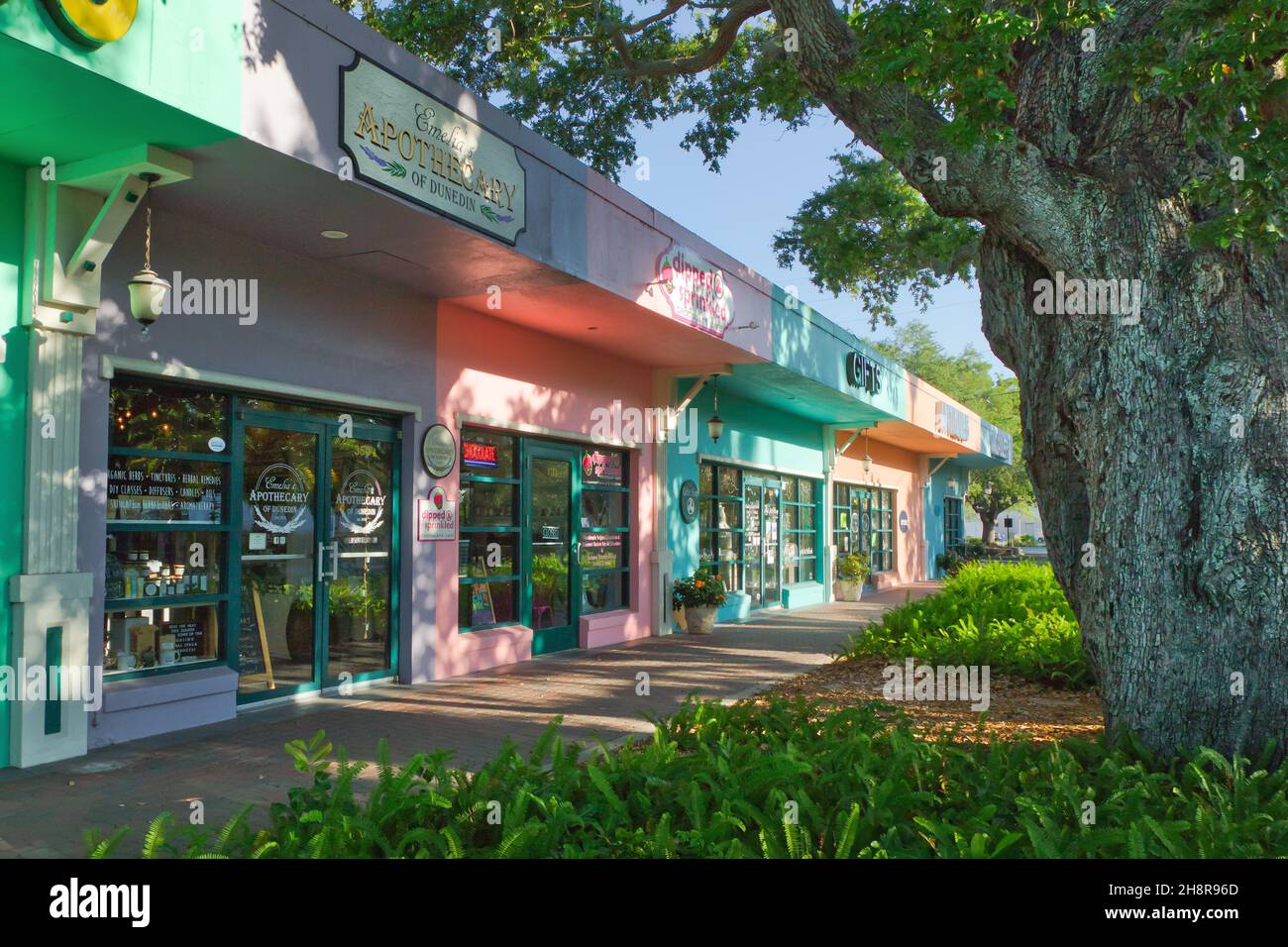 Dunedin florida street hires stock photography and images Alamy