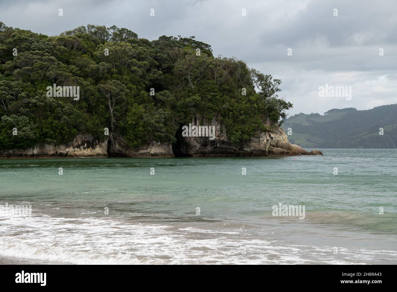 Cooks beach at Purangi in New Zealand Stock Photo Alamy