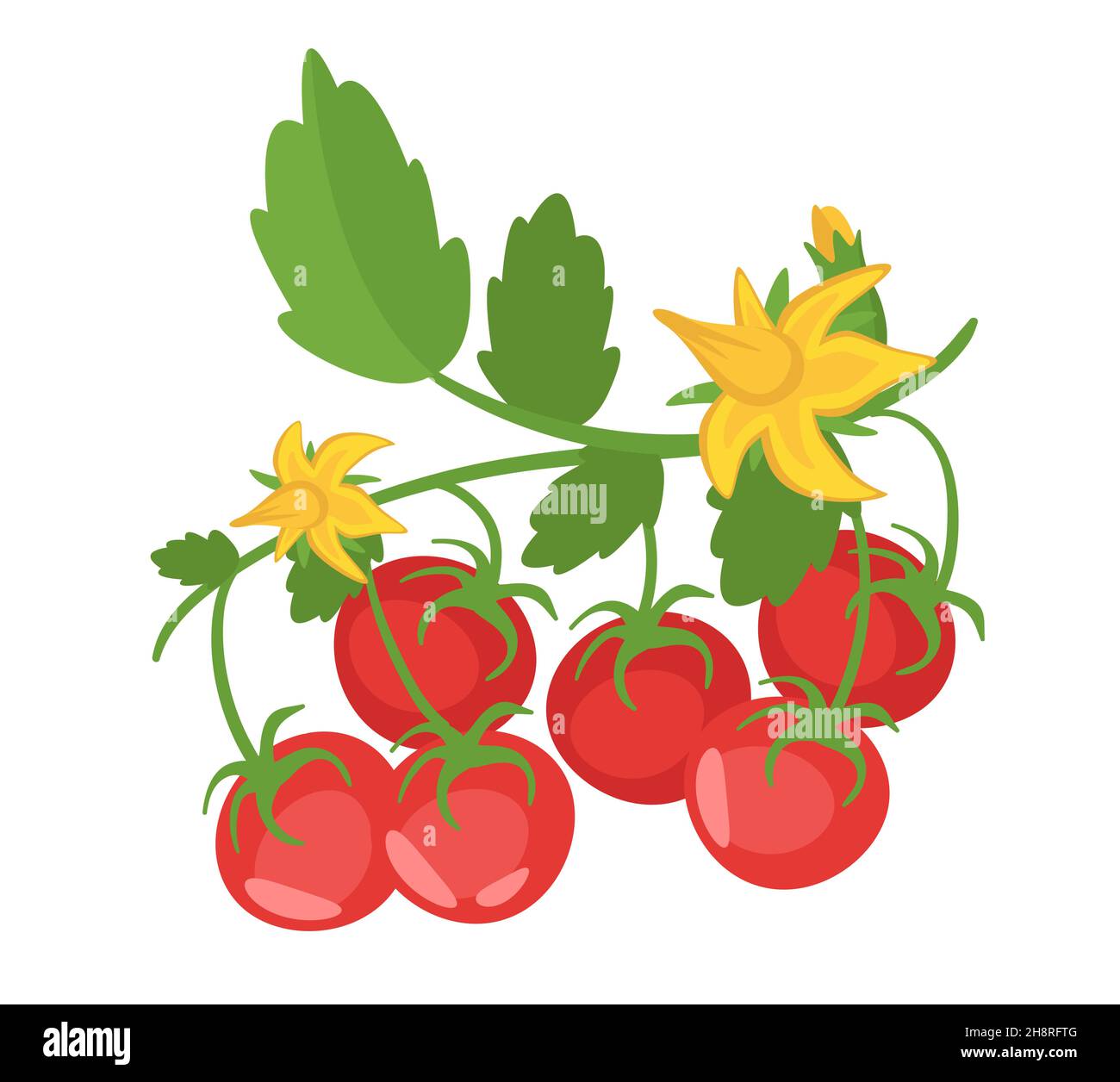 Vector cartoon style illustration of tomato brunch Stock Vector