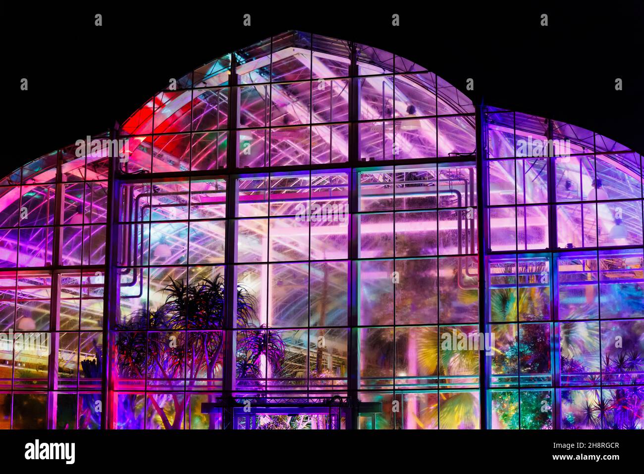 The iconic modern architecture Glasshouse illuminated during Glow 2021