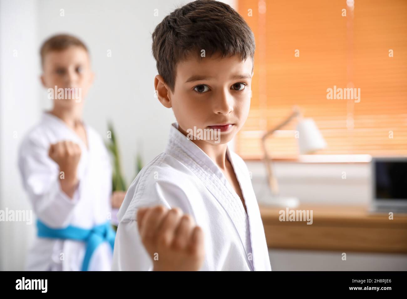 Little boys practicing karate at home Stock Photo Alamy