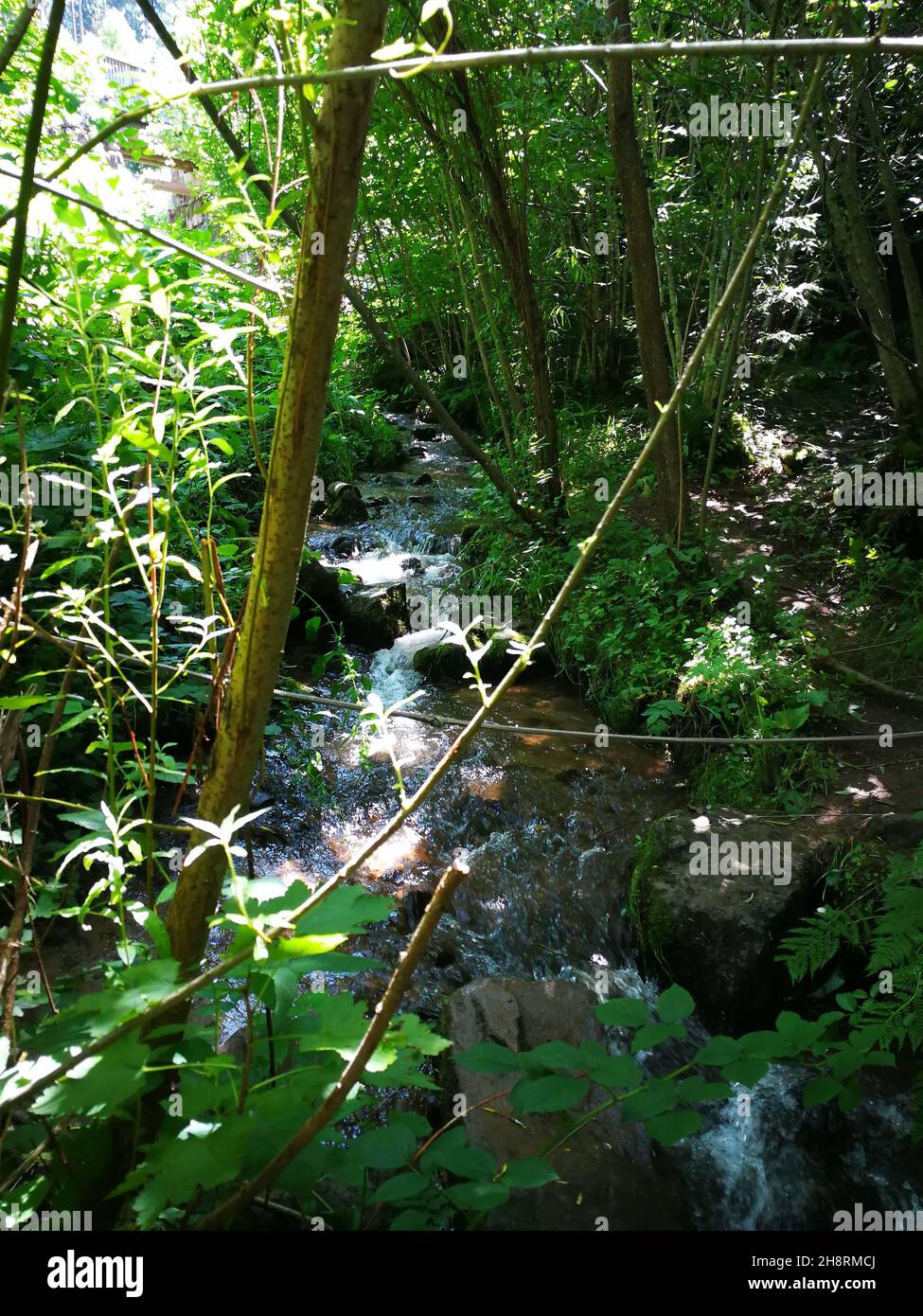 Vertical shot of a small waterfall in the forest Stock Photo - Alamy