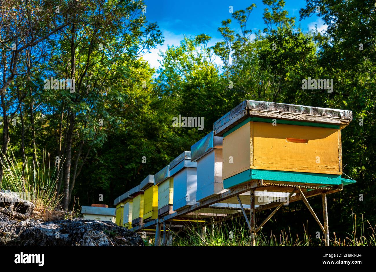 Bee hives and lake hi-res stock photography and images - Alamy