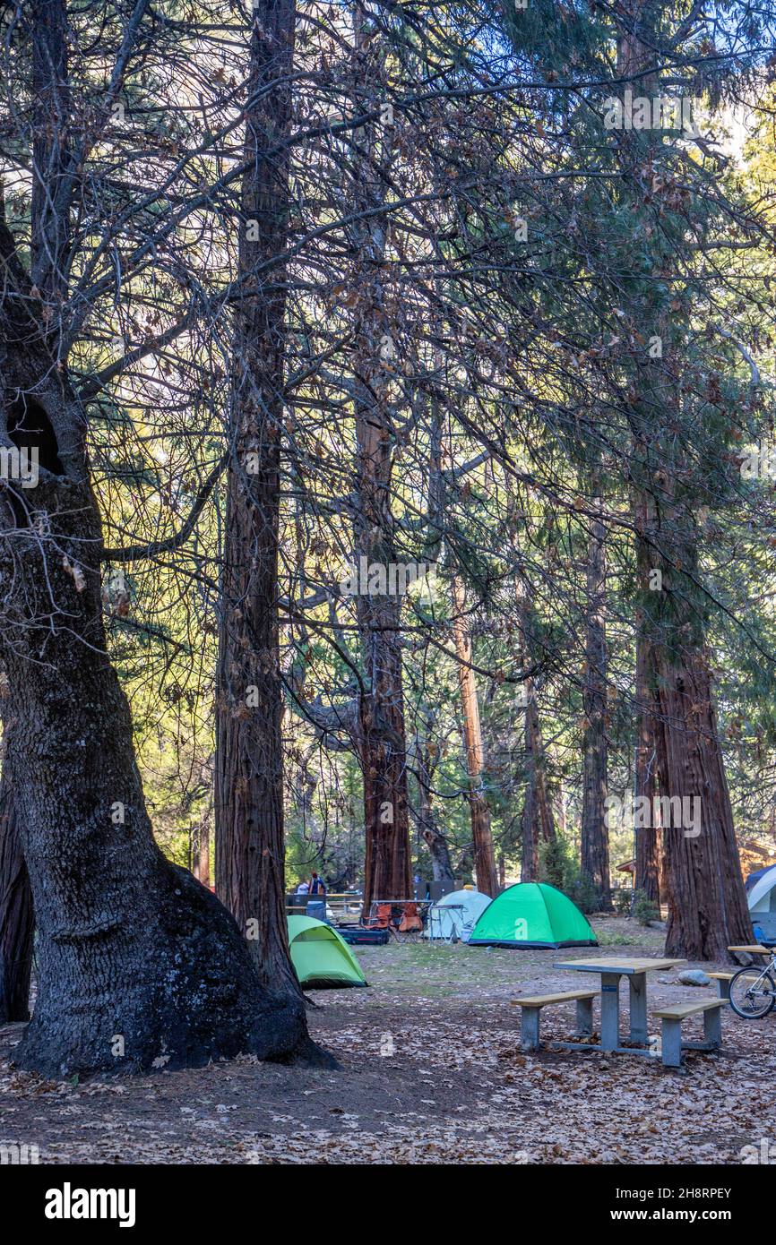 Camp 4 at the base of El Capitan in Yosemite Valley, California Stock