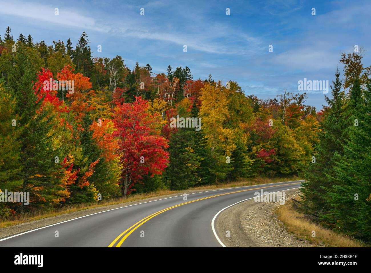 Trees with colorful autumn foliage line a curvy New England highway. Stock Photo