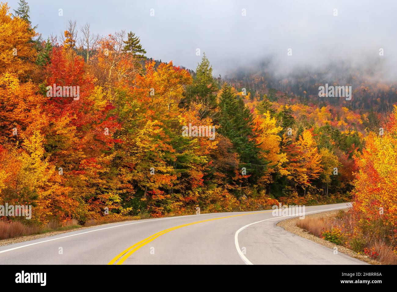 Colorful autumn foliage appears, as the fog lifts, along a curvy mountain road in the White Mountains of New Hampshire, USA. Stock Photo