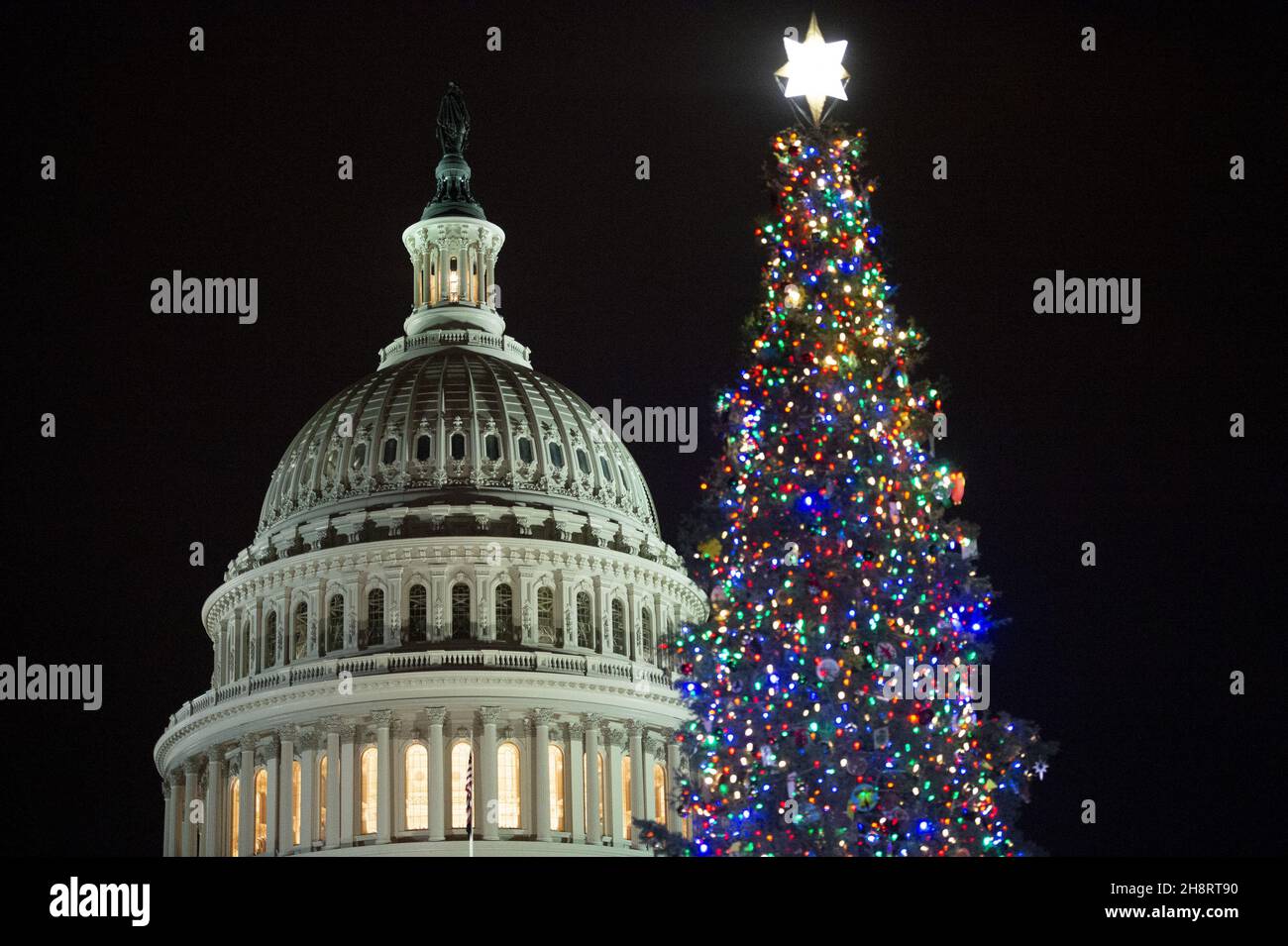 Washington, United States. 01st Dec, 2021. The U.S. Capitol Christmas tree "Sugar Bear," a White Fur from the Six Rivers National Forest in California, is illuminated during a ceremony attended by Speaker of the House Nancy Pelosi, D-CA, and other congressional members from California on the West Lawn of the Capitol Building in Washington, DC on Wednesday, December 1, 2021. The 84-foot-tall tree is decorated with 15,000 ornaments made by children in California to reflect this years theme, "Six Rivers, Many Peoples, One Tree." Photo by Bonnie Cash/UPI Credit: UPI/Alamy Live News Stock Photo