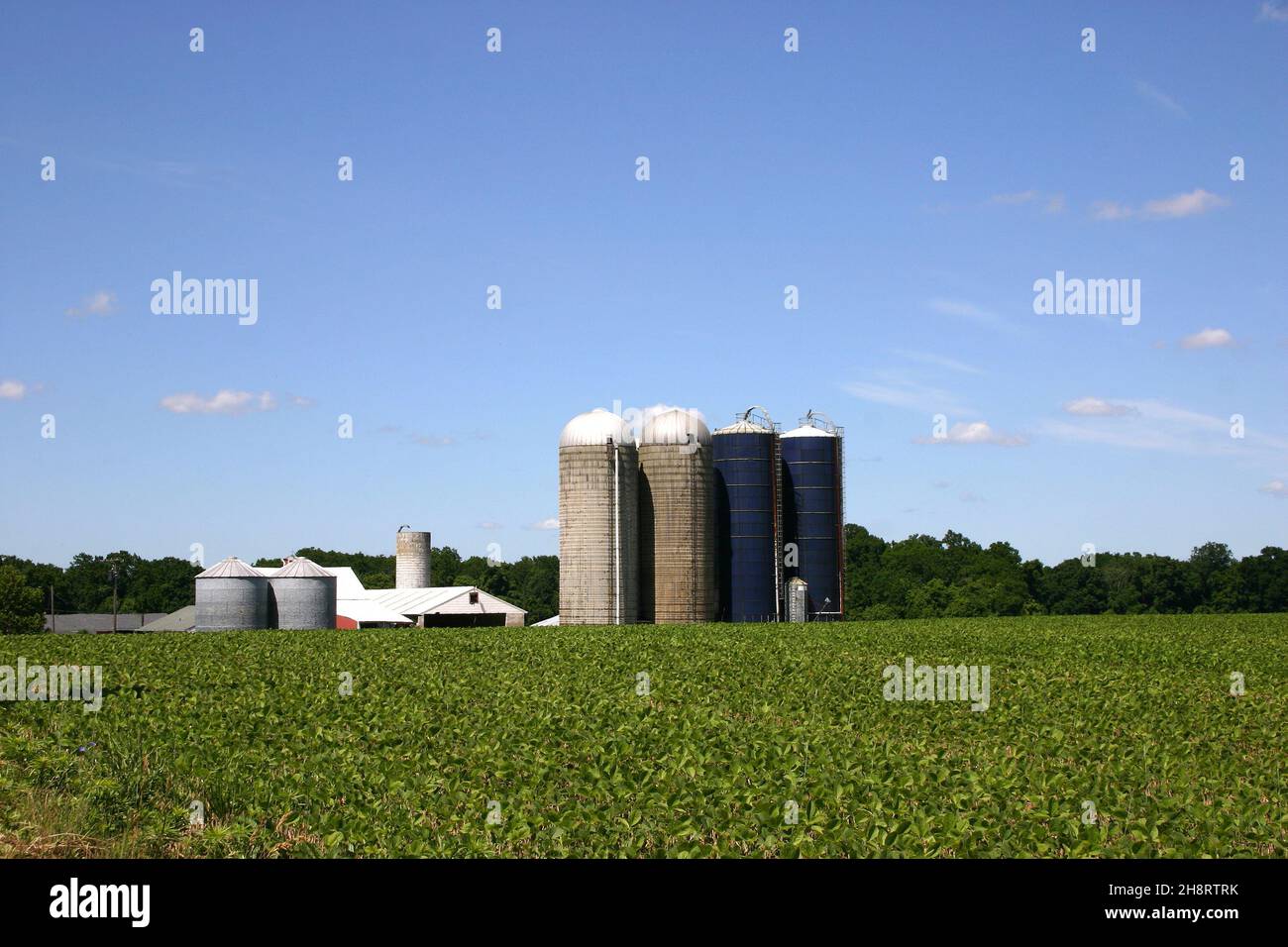 Vegetable/grain farm in rural New Jersey, USA . Outbuildings and silos at the end of the fields. New Jersey is also known as The Garden State. Stock Photo