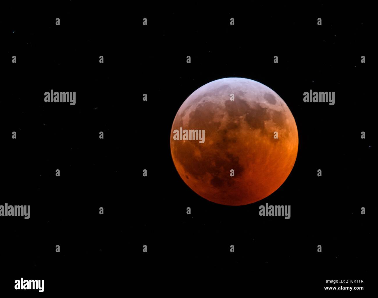 Lunar Eclipse March 2024 Ontario Canada Mag Starlene
