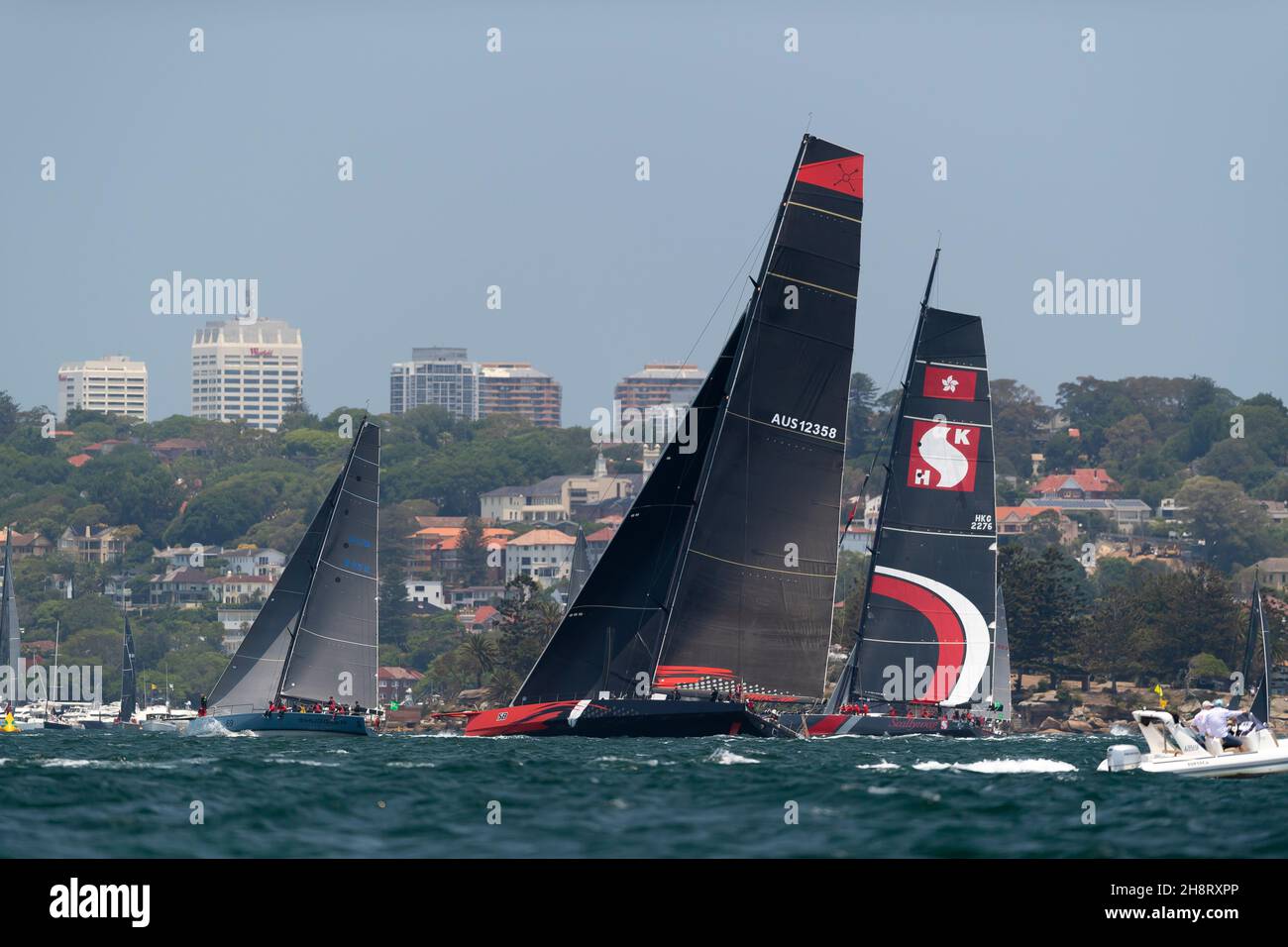 Comanche and Scallywag sail during the start of the Sydney to Hobart Yacht race Stock Photo Alamy Comanche and Scallywag sail during the start of the Sydney to Hobart Yacht race Stock Photo Alamy