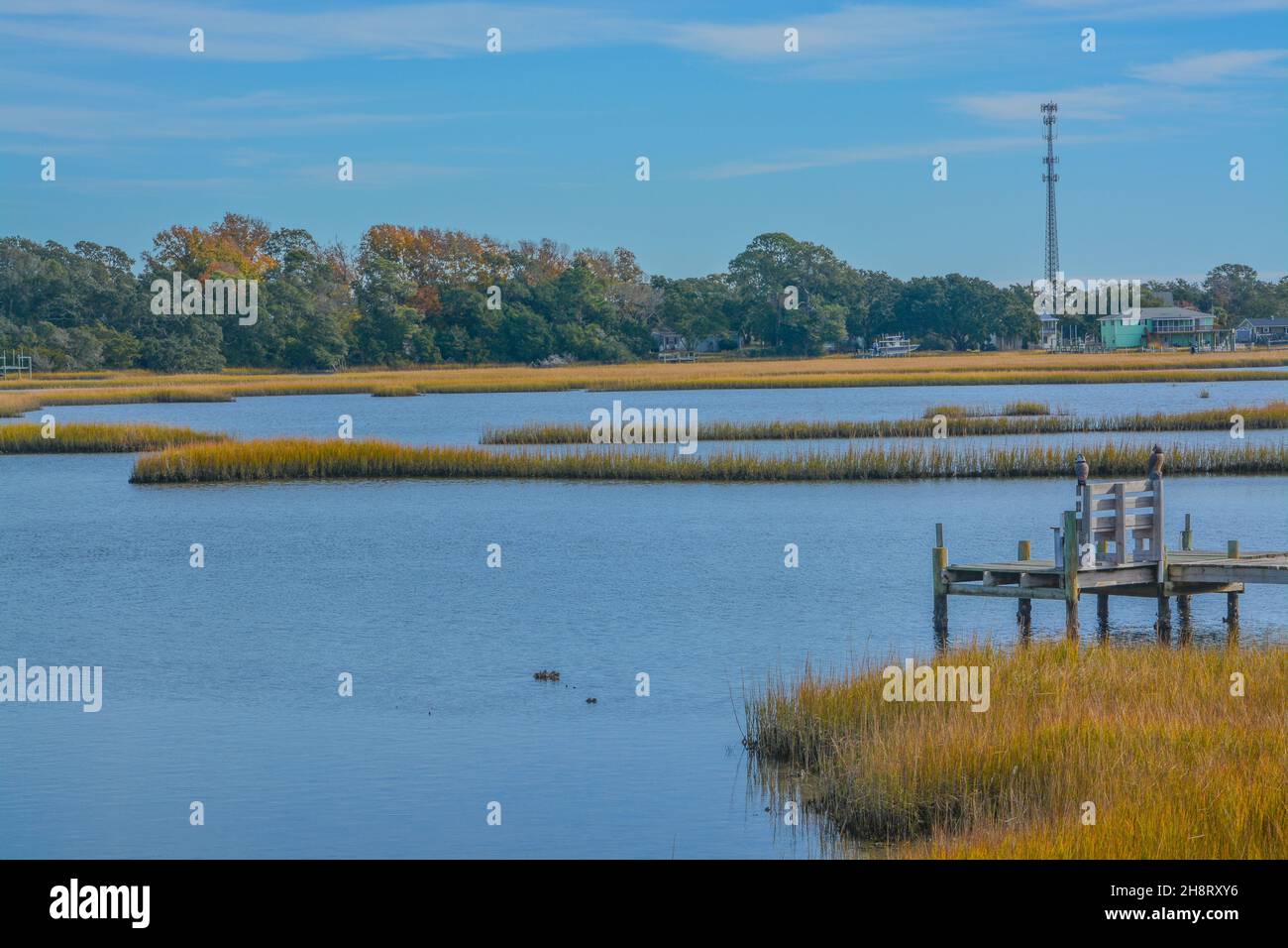 The freshwater wetlands of White Oak River on the Atlantic Coastal Plain in Onslow County, North Carolina Stock Photo