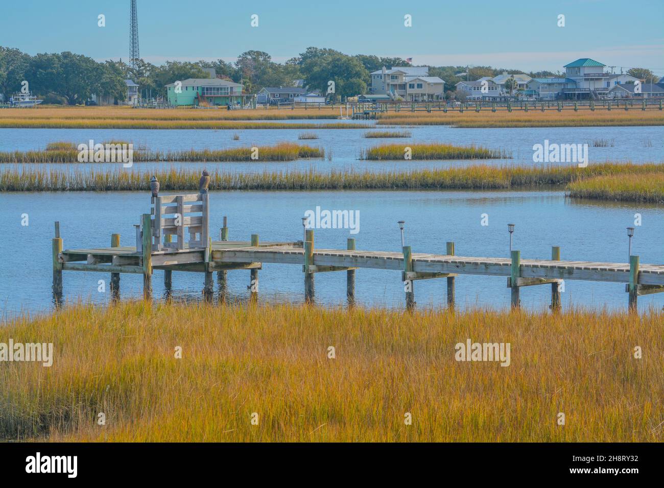 The freshwater wetlands of White Oak River on the Atlantic Coastal Plain in Onslow County, North Carolina Stock Photo