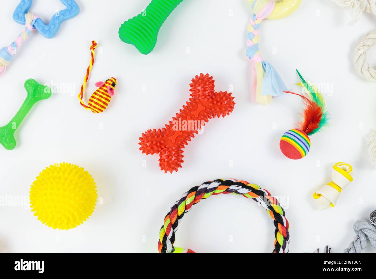 Set of colorful toys, bones, ropes made of cotton, plastic, rubber for dogs and cats. Pets care and accessories on white background Stock Photo