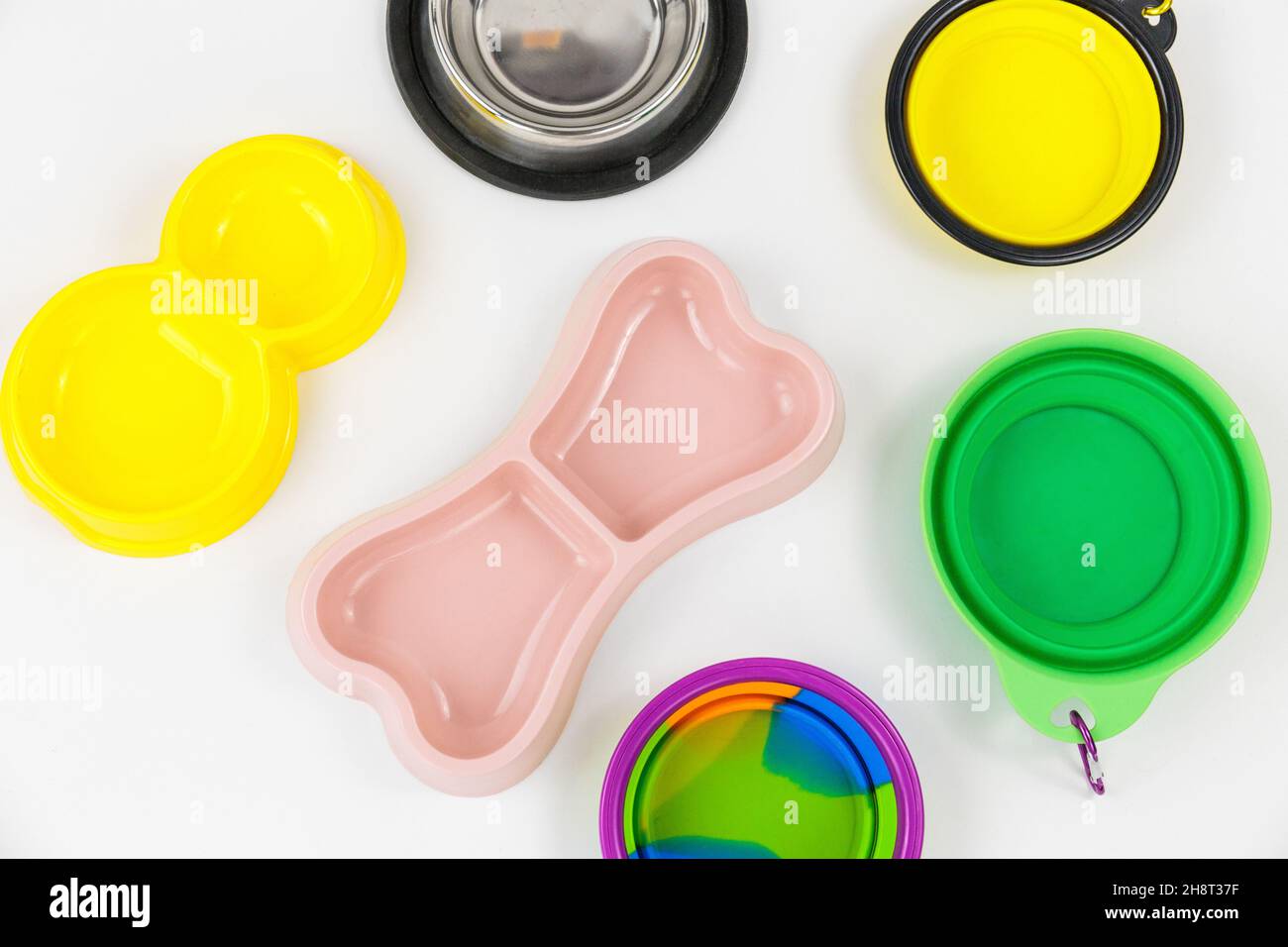 Set of multicolored bowls for food and water for cats and dogs. Bowls