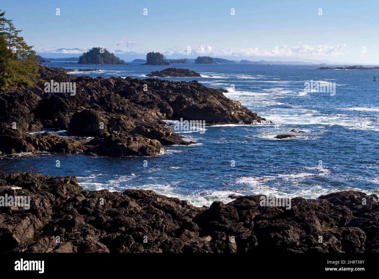 Rocky coastline view from the wild pacific trail Amphitrite Point lighthouse loop at Ucluelet, west coast Vancouver Island, BC, Canada in October Stock Photo