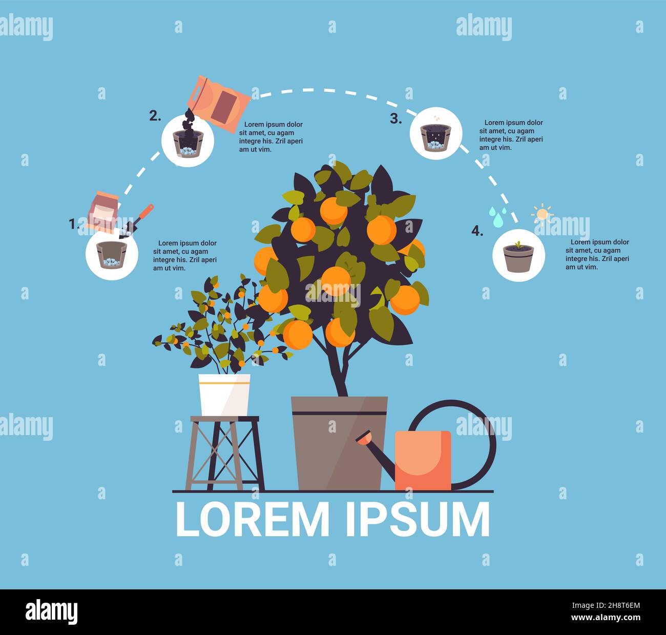 potted orange plant growing fruit tree in pot garden work farming