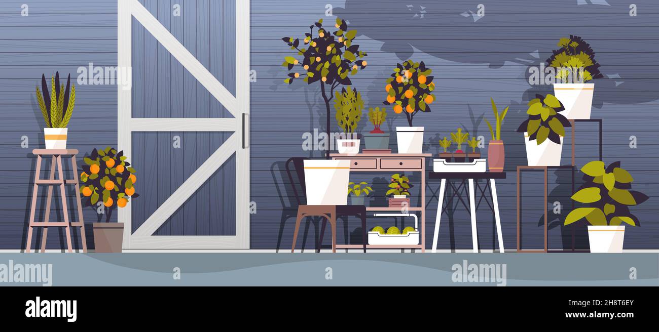 greenhouse potted plants on shelves gardening concept Stock Vector ...