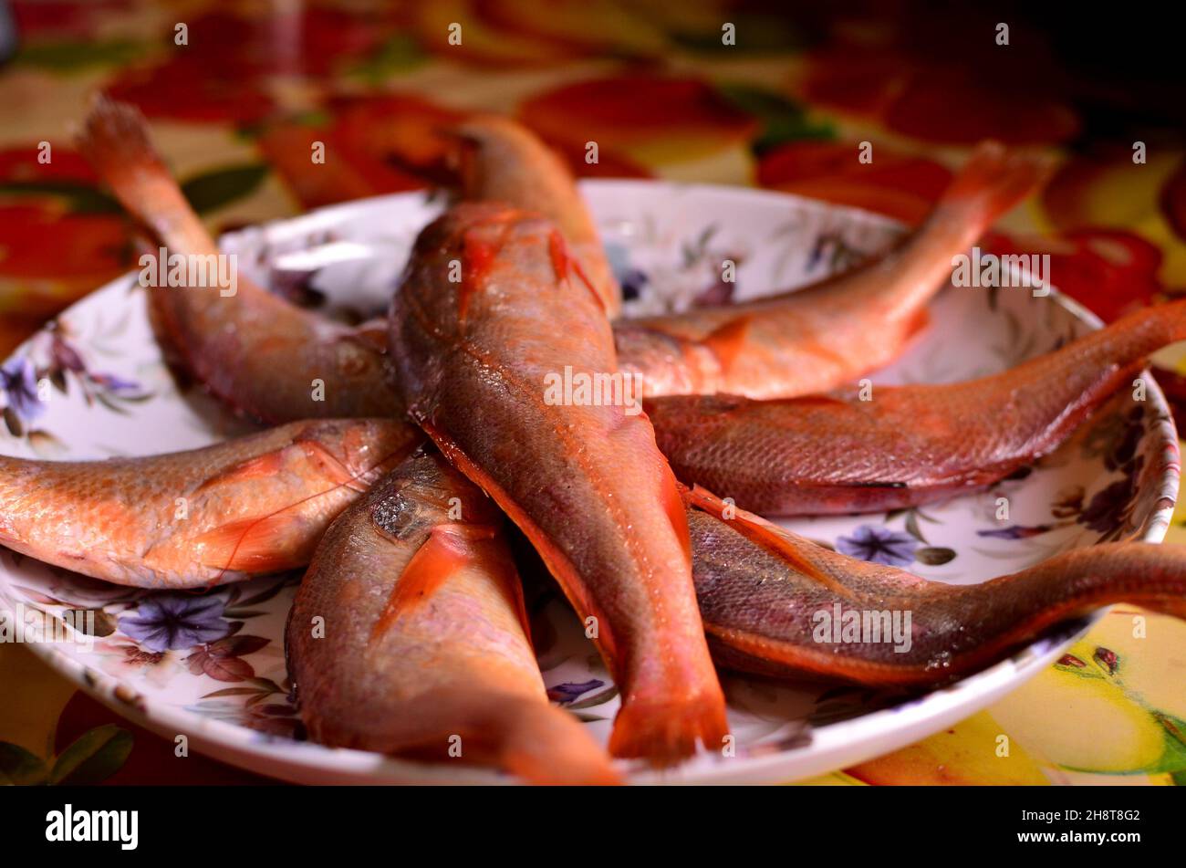 Fresh bhola bhetki fish is arranged on the plate Stock Photo