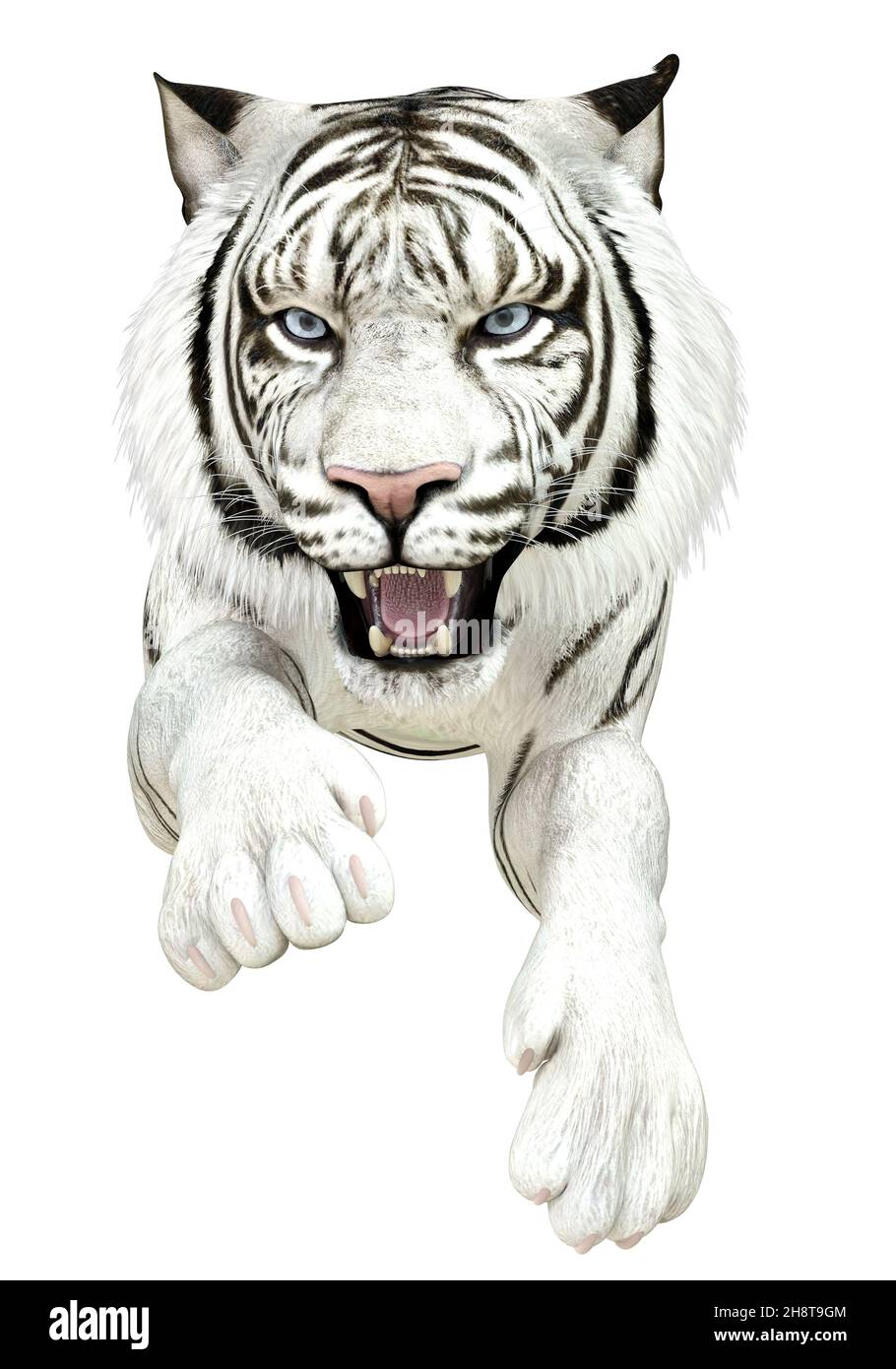 White tiger india Cut Out Stock Images & Pictures - Page 2 - Alamy