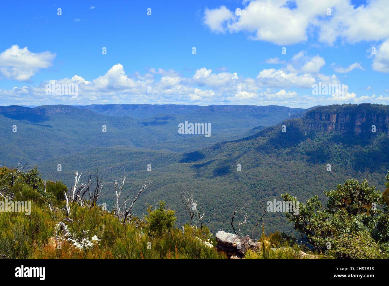 A view of the Jamison Valley from Lincolns Rock in the Blue Mountains of Australia Stock Photo