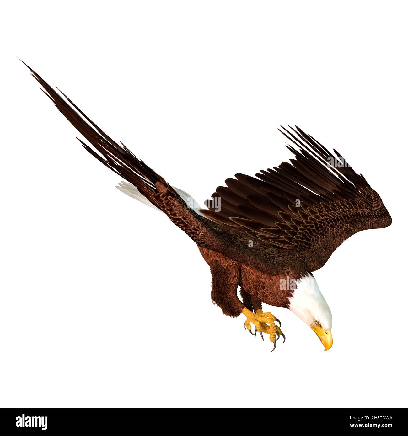 3D rendering of a bald eagle isolated on white background Stock Photo ...