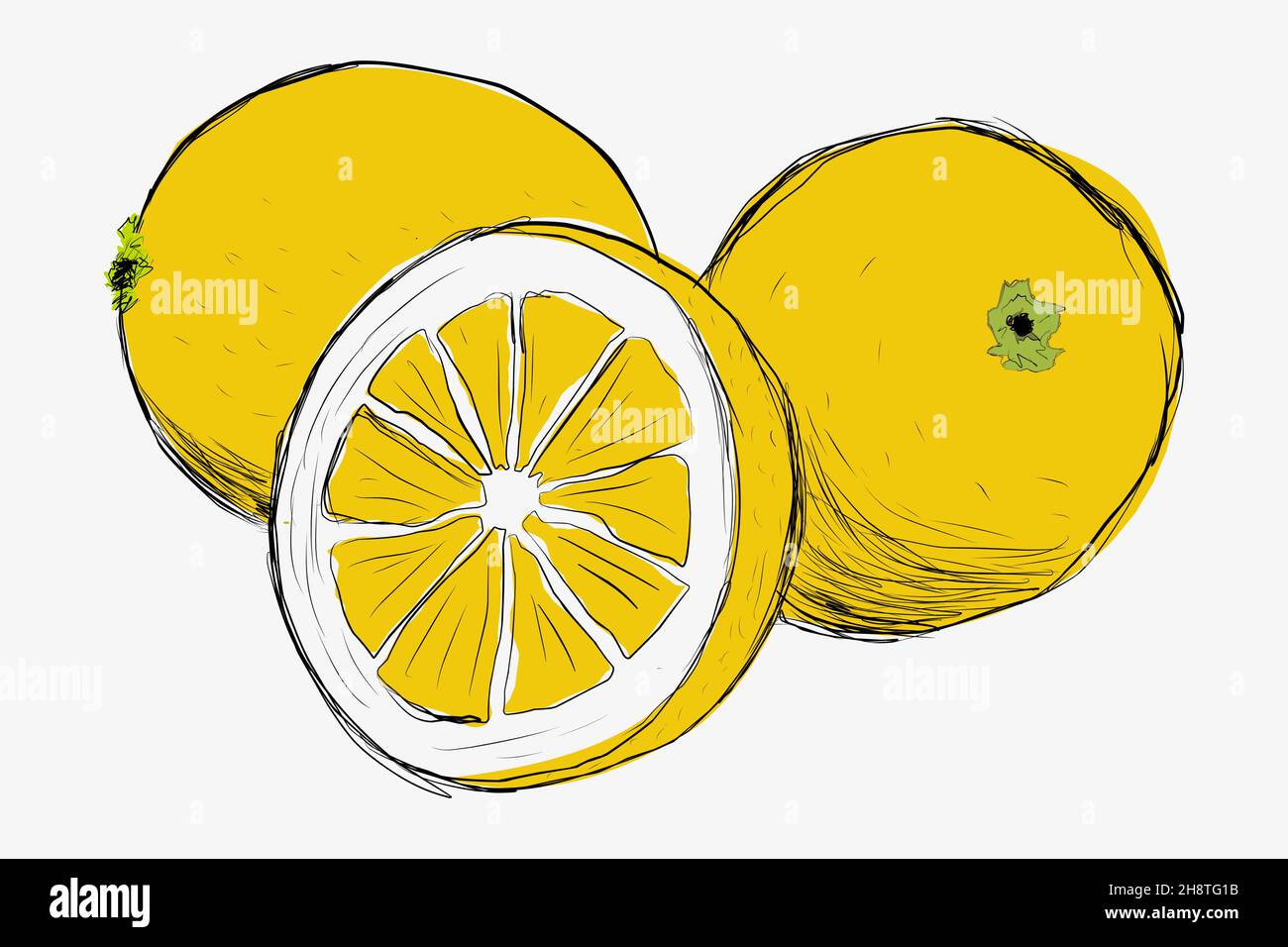 Lemons drawn by hand. Lemon in section handdrawn. Stock Vector