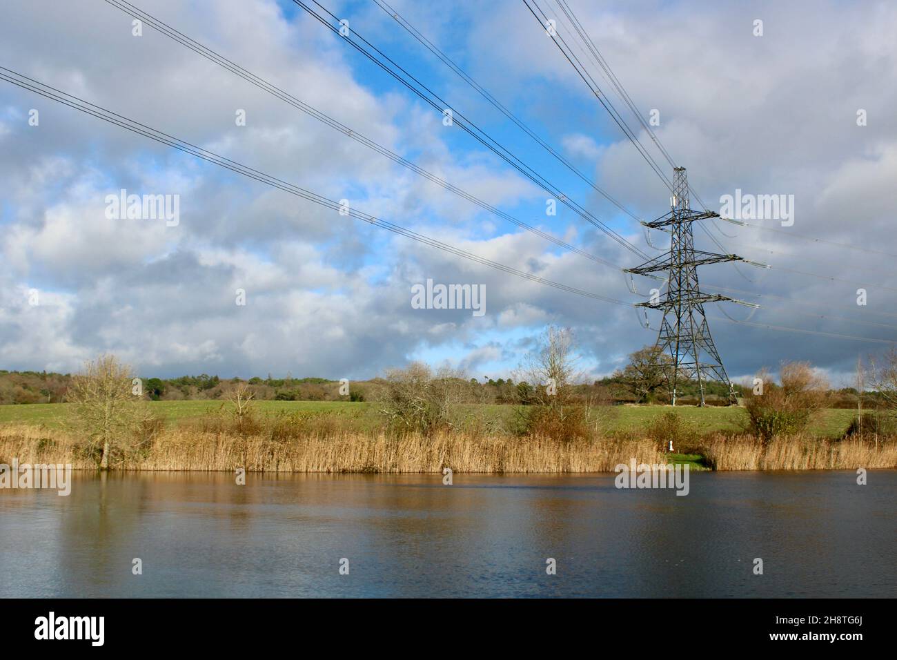 Electricity Pylons as seen from Dorchester Sculpture Park Stock Photo