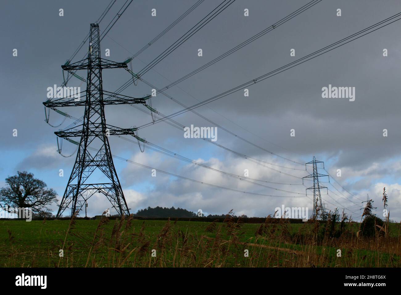 Electricity Pylons as seen from Dorchester Sculpture Park Stock Photo