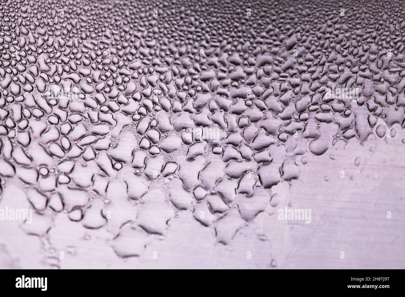 Macro background with water droplets condensation pattern on metal ...