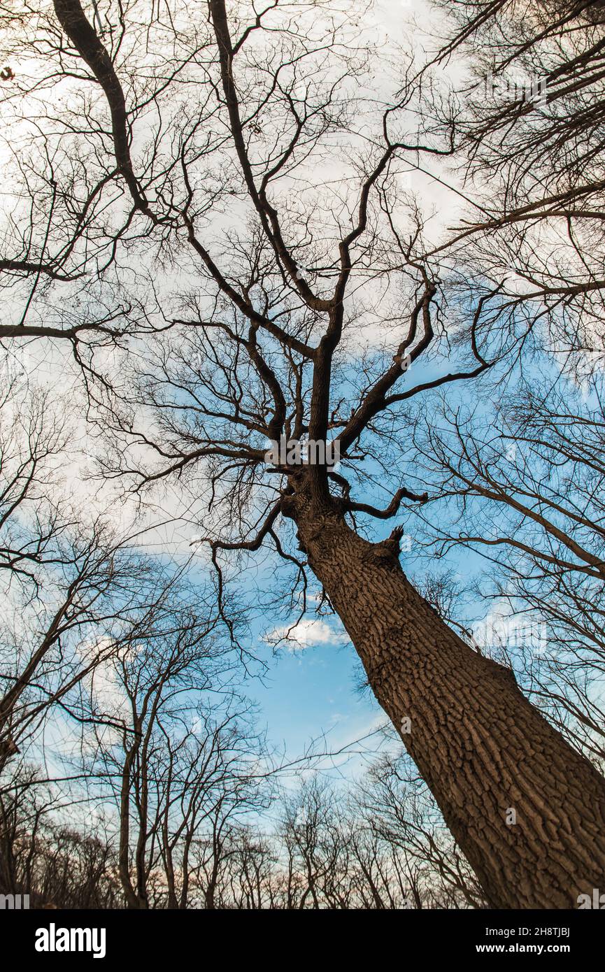 Art, abstract and artistic fisheye lens perspective view of fantasy ...