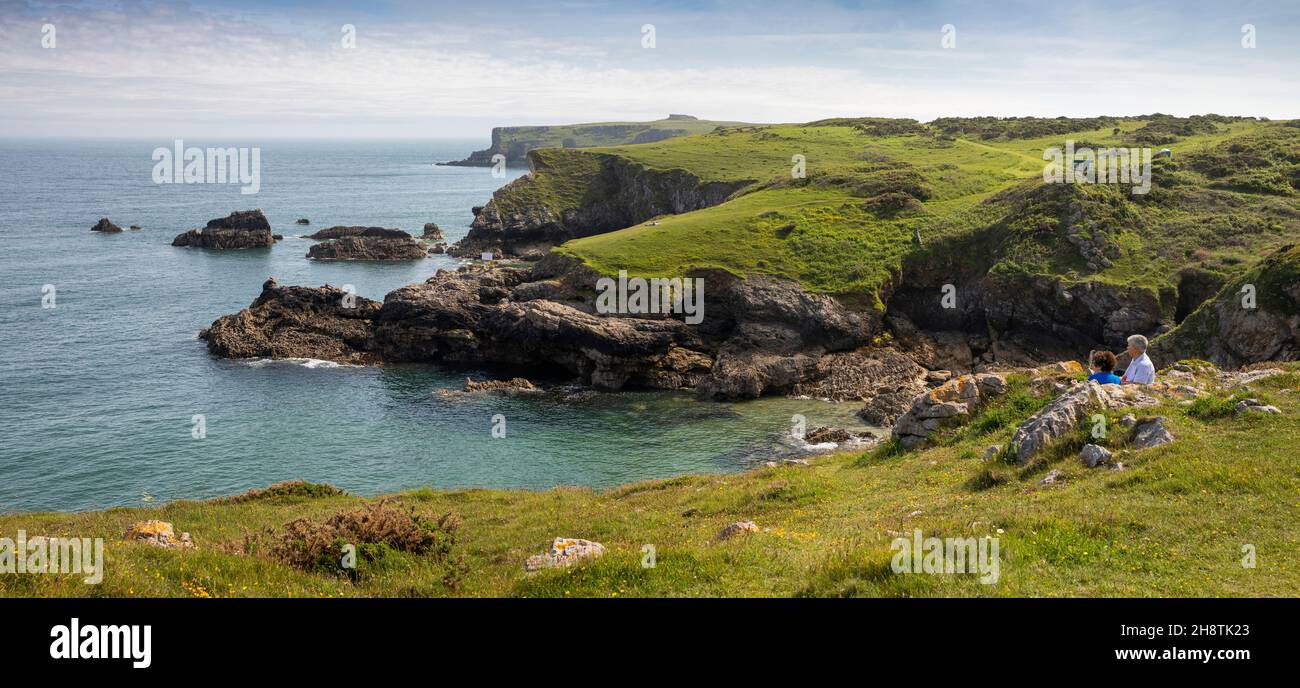 UK, Wales, Pembrokeshire, Bosherston, Broad Haven, Long Matthew Point from Trevallen Downs, panoramic Stock Photo