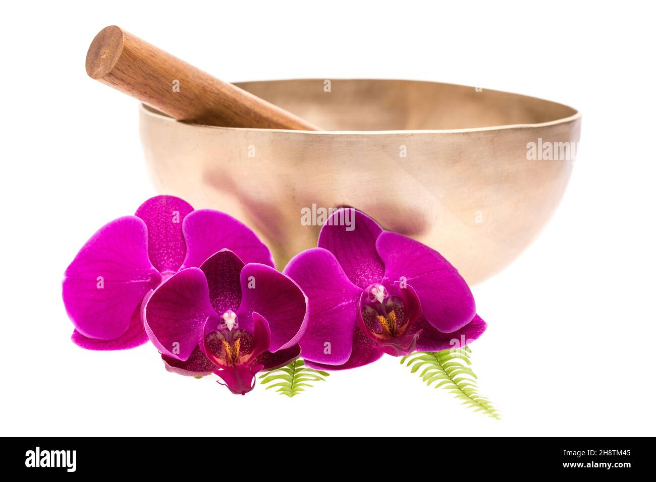 Singing bowl with flowers isolated on white background Stock Photo