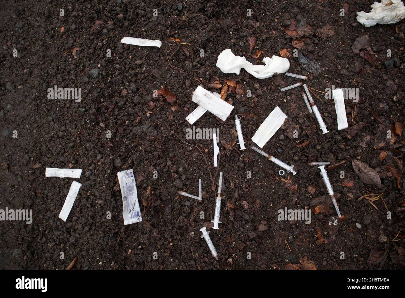 Used syringes and needles on the ground Stock Photo Alamy