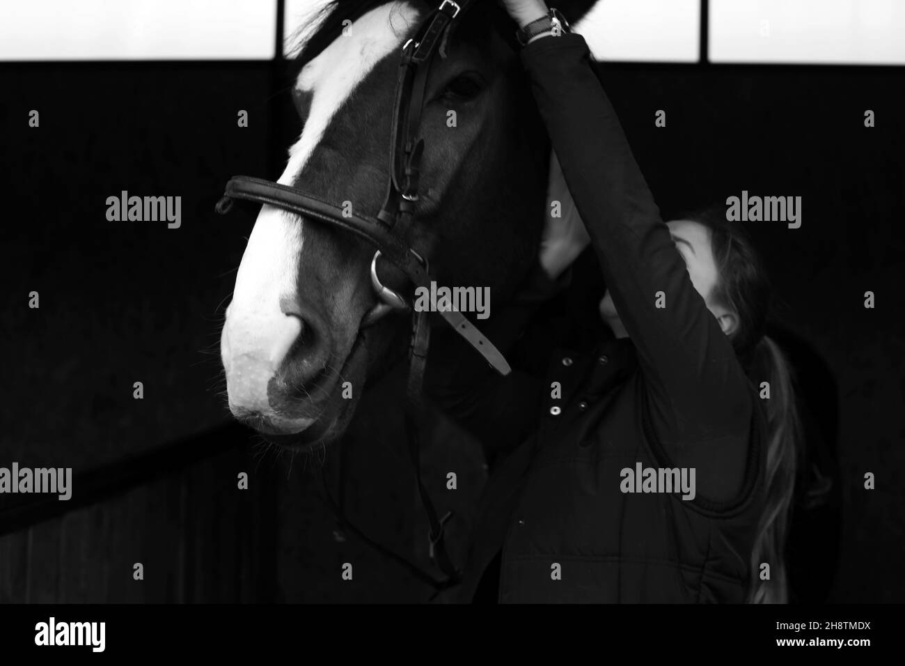 Grayscale of female patting an elegant dark horse Stock Photo