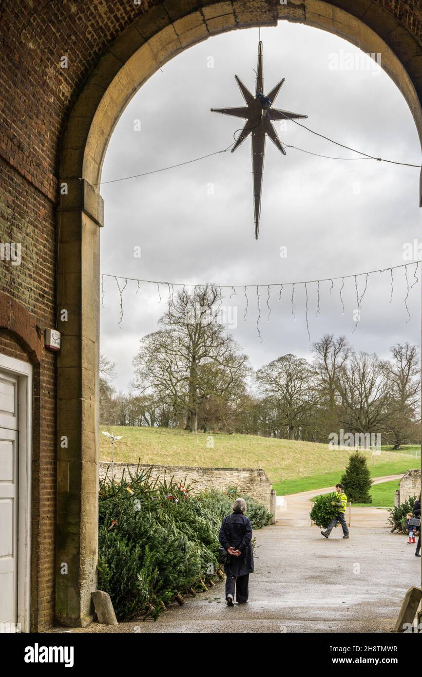 Real trees hires stock photography and images Alamy